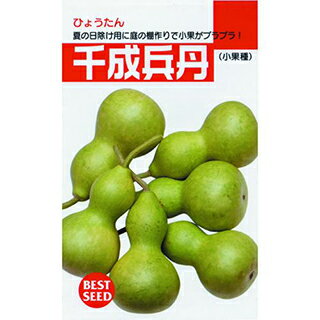 ひょうたん 種 【ひょうたん千成兵丹】 小袋 （ 種 野菜 野菜種子 野菜種 ）