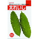 ゴーヤ 種  15ml （ 種 野菜 野菜種子 野菜種 ）