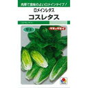 西洋野菜 種 【 コスレタス 】 小袋 GF ( 西洋野菜の種 )