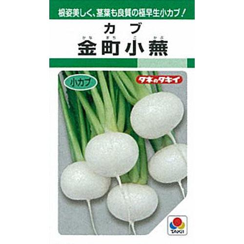 カブ 種 【 金町小蕪 】 種子 1L （ 種 野菜 野菜種子 野菜種 ）