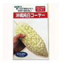 ゴーヤ 種 【 沖縄純白ゴーヤ 】 種子 1dl ( 種 野菜 野菜種子 野菜種 )