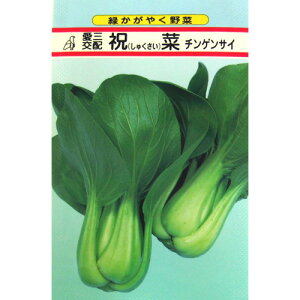 ちんげん菜 種 【 祝菜 】 種子 小袋（約3ml） （ 種 野菜 野菜種子 野菜種 ）