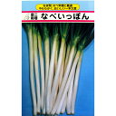 ネギ 種 【 ネギなべいっぽん 】 小袋 5ml ネギの種 