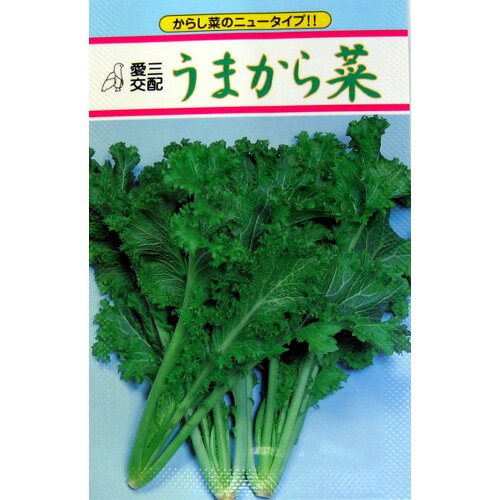 葉菜類 種 【 葉菜類うまから菜 】 小袋（3ml） ( 葉菜類の種 )