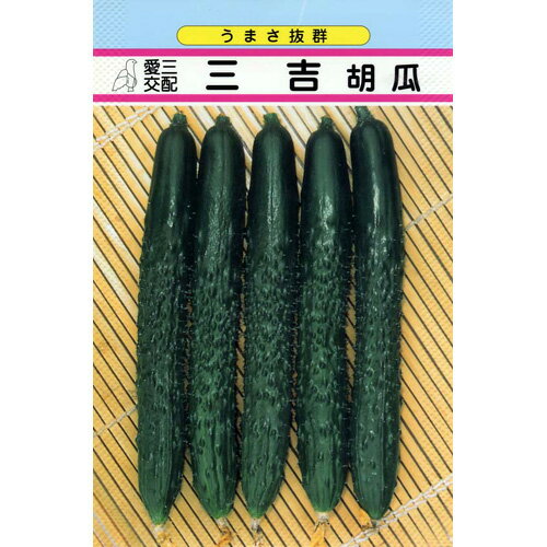 メール便で10袋まで同梱できます。 種子と責任種子は努めて純良なものをご用意しておりますが、商品の性質上100%の純度や発芽は望めません。商品の包装等に記載のある、発芽試験結果を満たした商品をお届けいたします。発芽は播種後の条件により結果が異なるため、温度や水分などを品目ごとに適した条件下で管理してください。不適条件下では発芽しないことがあり、また100%同一ではなく、まれに異株が出る場合がございます。種子・苗などについて、発芽後および植えつけ後の栽培条件や天候などによって結果が異なりますので、商品の生長後や収穫物に対する補償はいたしかねます。また商品の性質上、結果不良につきましてはお買い上げ金額の範囲内とさせていただきます。(お客様の栽培管理や気象条件による結果不良につきましては、その責任を負いかねます)独自に加工されたものや、お届け後に有効期限を超えられたものにつきましては責任を負いかねます。野菜などの収穫物については、品種の特性や栽培条件などにより生育に差が生じることがあり、収穫物のサイズ、重量、味などは掲載表現と異なる場合がございます。三吉胡瓜 地域 蒔き時期（露地） 蒔き時期(ハウス・トンネル等） 寒地・冷涼地 − − 中間地 3月下〜6月上 2月下〜4月中、7月中〜8月中 暖地 − − 小袋種子の内容量表記について農作物である商品の特性上、小袋パッケージの商品に関しましては、販売時期により、内容量が変更になる場合があります。商品名に内容量が記載されている場合がございますが、あくまで目安であり、1mlほど前後するものとお考え下さい。また、内容量が増減したことによる価格の変更もありません。あらかじめご了承いただいた上で、ご注文をお願いいたします。