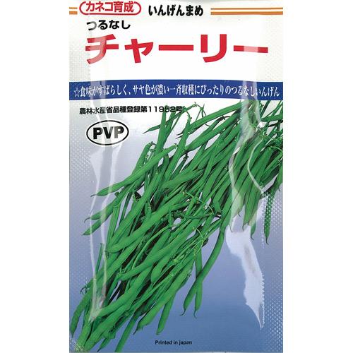 樂天商城 - インゲン 種 【 チャーリー 】 2000粒 ( インゲンの種 )