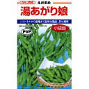 枝豆 種 【 湯あがり娘(中早生白毛) 】 種子 2千粒 ( 種 野菜 野菜種子 野菜種 )