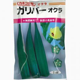 オクラ 種 【ガリバー】 1dl （ 種 野菜 野菜種子 野菜種 ）のサムネイル
