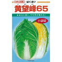 白菜 種 【 黄望峰65 】 種子 20ml ( 種 野菜 野菜種子 野菜種 )