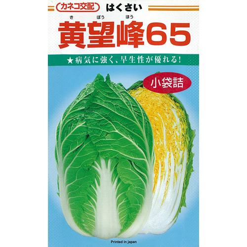 白菜 種 【 黄望峰65 】 種子 コート5千粒 （ 種 野菜 野菜種子 野菜種 ）