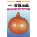 たまねぎ 種 【極早生貴錦 (たかにしき)】 20ml ( 種 野菜 野菜種子 野菜種 )