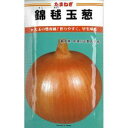 たまねぎ 種 【早生錦毬 (きんきゅう)】 20ml ( 種 野菜 野菜種子 野菜種 )