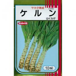 レタス 種 【 山くらげケルン 】 種子 小袋（約10ml） （ 種 野菜 野菜種子 野菜種 ） ★