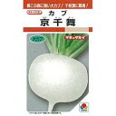 カブ 種 【 京千舞 】 種子 1dl缶 ( 種 野菜 野菜種子 野菜種 )