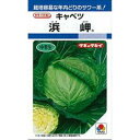 キャベツ 種 【 浜岬 】 種子 L5千粒 ( 種 野菜 野菜種子 野菜種 )