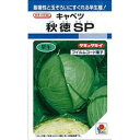 キャベツ 種 【 秋徳SP 】 種子 2000粒 ( 種 野菜 野菜種子 野菜種 )
