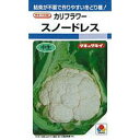 カリフラワー 種 【 スノードレス 】 小袋(DF 1.2ml) ( カリフラワーの種 )