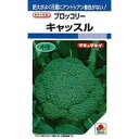 ブロッコリー 種 【 キャッスル 】 種子 20ml ( 種 野菜 野菜種子 野菜種 )