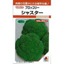 ブロッコリー 種 【 シャスター 】 小袋(RF 0.7ml) ( ブロッコリーの種 )