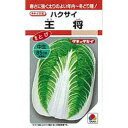 白菜 種 【 王将 】 小袋 RF ( 白菜の種 )