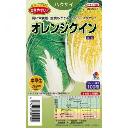 【交配聖護院かぶ】種　かぶ　種子　秋まき　野菜　タネ　丸種（株）カブ　大カブ　千枚漬け　肉質緻密　上品な甘み　純白・美肌でス入りが遅く栽培容易な強健種　煮食　浅漬け　家庭菜園　宇都宮農園　たね