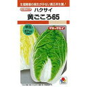 白菜 種 【 黄ごころ65 】 小袋 RF ( 白菜の種 )