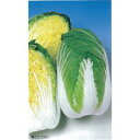 白菜 種 【 黄ごころ90 】 種子 L5千粒 ( 種 野菜 野菜種子 野菜種 )