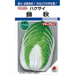 白菜 種 【 錦秋 】 小袋 DF（2．2ml) ( 白菜の種 )