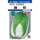 白菜 種 【 錦秋 】 種子 1dl ( 種 野菜 野菜種子 野菜種 )