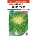 白菜 種 【 新あづま 】 種子 小袋(約20ml) ( 種 野菜 野菜種子 野菜種 )