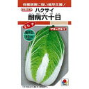 白菜 種 【 耐病六十日 】 種子 1dl ( 種 野菜 野菜種子 野菜種 )