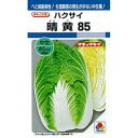 白菜 種 【 晴黄85 】 種子 20ml ( 種 野菜 野菜種子 野菜種 )