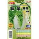 白菜 種 【 晴黄85 】 種子 小袋(約100粒) ( 種 野菜 野菜種子 野菜種 )