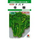 ナバナ 種 【 冬華菜花 】 種子 2dl ( 種 野菜 野菜種子 野菜種 )