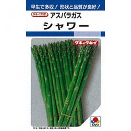 この商品はメール便不可です。宅配便でのお届けとなります。種子と責任種子は努めて純良なものをご用意しておりますが、商品の性質上100%の純度や発芽は望めません。商品の包装等に記載のある、発芽試験結果を満たした商品をお届けいたします。発芽は播種後の条件により結果が異なるため、温度や水分などを品目ごとに適した条件下で管理してください。不適条件下では発芽しないことがあり、また100%同一ではなく、まれに異株が出る場合がございます。種子・苗などについて、発芽後および植えつけ後の栽培条件や天候などによって結果が異なりますので、商品の生長後や収穫物に対する補償はいたしかねます。また商品の性質上、結果不良につきましてはお買い上げ金額の範囲内とさせていただきます。(お客様の栽培管理や気象条件による結果不良につきましては、その責任を負いかねます)独自に加工されたものや、お届け後に有効期限を超えられたものにつきましては責任を負いかねます。野菜などの収穫物については、品種の特性や栽培条件などにより生育に差が生じることがあり、収穫物のサイズ、重量、味などは掲載表現と異なる場合がございます。シャワー生育が旺盛で株当たりの出芽数が多く、初期収量の多い早生の交配種。頭部のバラケが遅く、しまりがよいので、高温期の栽培にも好適する。濃緑で滑らかな円筒状の若茎は、アントシアンの着色が少ない。冷涼・中間・暖地に幅広く適応する。 地域 蒔き時期（露地） 蒔き時期(ハウス・トンネル等） 寒地・冷涼地 5月中 4月中(温床育苗、トンネル） 中間地 2月中 2月中(トンネル） 暖地 2月中 2月中(トンネル）
