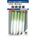 大根 種 【 耐病宮重 】 種子 小袋(約50ml) ( 種 野菜 野菜種子 野菜種 )