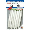 大根 種 【 白秋 】 小袋 DF ( 大根の種 )