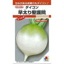 大根 種 【 早太り聖護院 】 種子 2dl缶 ( 種 野菜 野菜種子 野菜種 )