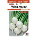 カブ 種 【 CRゆきばな 】 種子 小袋(約20ml) ( 種 野菜 野菜種子 野菜種 )