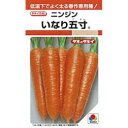 にんじん 種 【 いなり五寸 】 種子 2dl缶 ( 種 野菜 野菜種子 野菜種 )