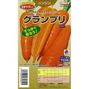 にんじん 種 【 グランプリ 】 種子 L1万粒 ( 種 野菜 野菜種子 野菜種 )