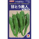 ししとう 種 【甘とう美人】 500粒 ( 種 野菜 野菜種子 野菜種 )