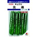 きゅうり 種 【北進】 350粒 ( 種 野菜 野菜種子 野菜種 ) ★