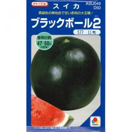 スイカ 種 【ブラックボール2】 200粒 （ 種 野菜 野菜種子 野菜種 ）