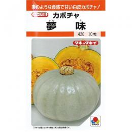 カボチャ 種 【 夢味 】 小袋(RF 9粒) ( カボチャの種 )