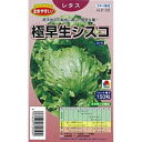 レタス 種 【 極早生シスコ 】 種子 小袋(約150粒) ( 種 野菜 野菜種子 野菜種 )