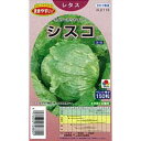 レタス 種 【 シスコ 】 種子 小袋(約150粒) ( 種 野菜 野菜種子 野菜種 )