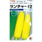 とうもろこし 種 【ランチャー82】 2,000粒 （ 種 野菜 野菜種子 野菜種 ）