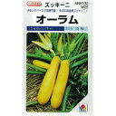 ズッキーニ 種  種子 小袋（約100粒） （ 種 野菜 野菜種子 野菜種 ）