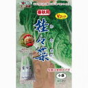 【 娃々菜春秋用 】 種子 小袋(約1g) ( 種 野菜 野菜種子 野菜種 )